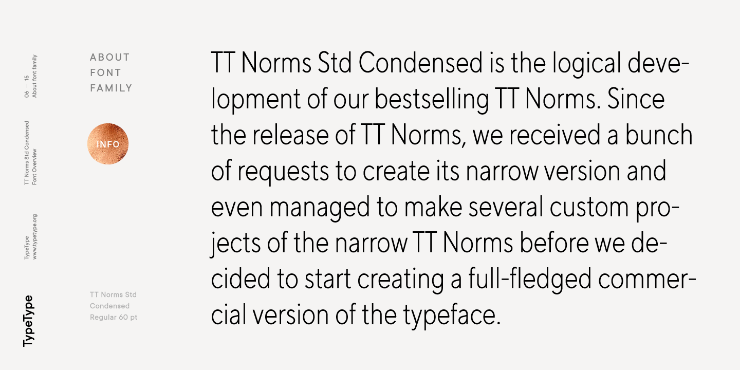Пример шрифта TT Norms Std Condensed #10